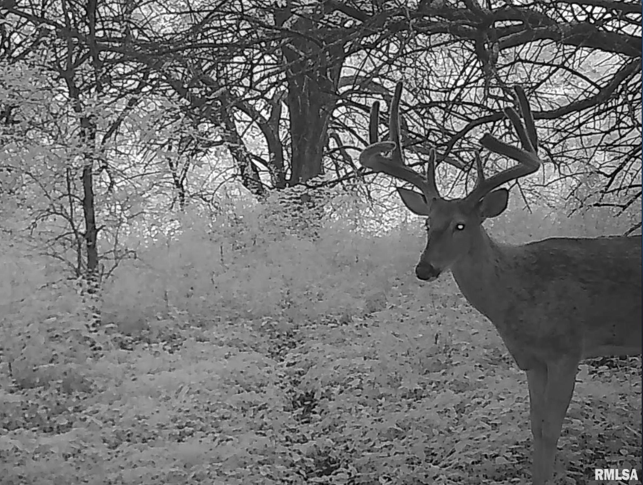 2469 85th Avenue Viola, IL 61486 - Photo 79 of 82