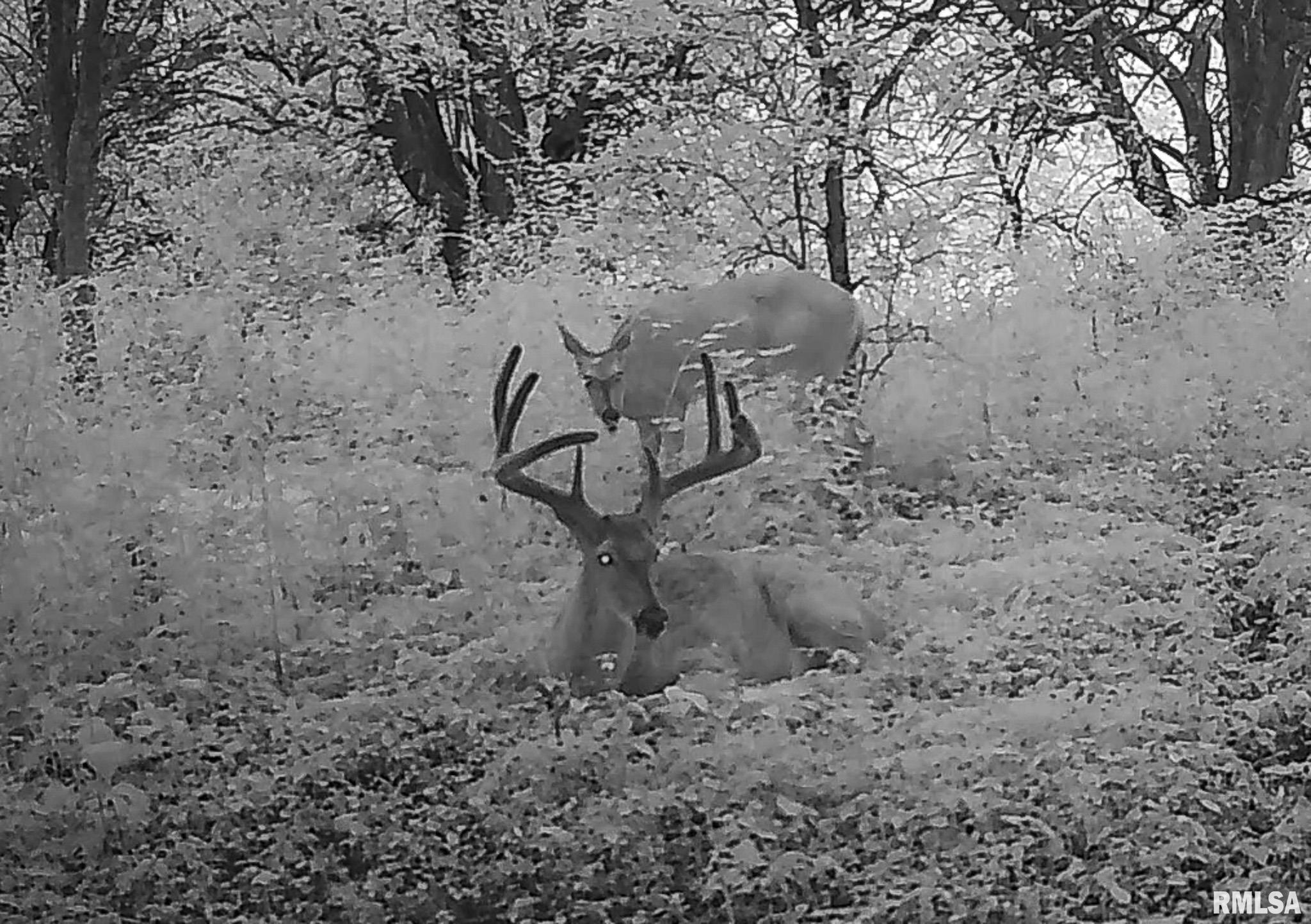 2469 85th Avenue Viola, IL 61486 - Photo 80 of 82