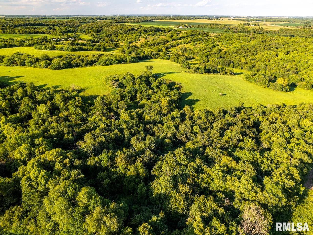 2469 85th Avenue Viola, IL 61486 - Photo 8 of 82