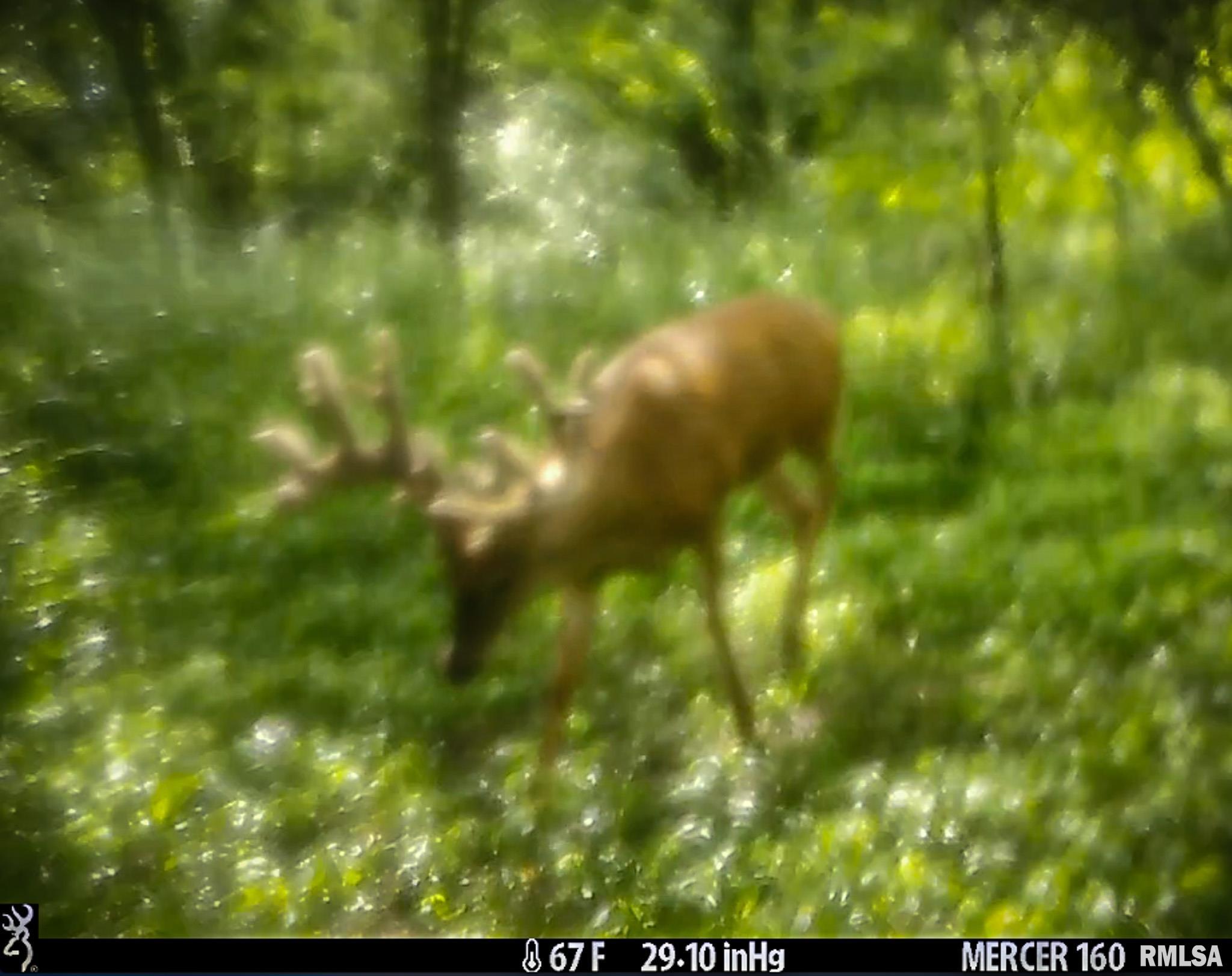 2469 85th Avenue Viola, IL 61486 - Photo 81 of 82