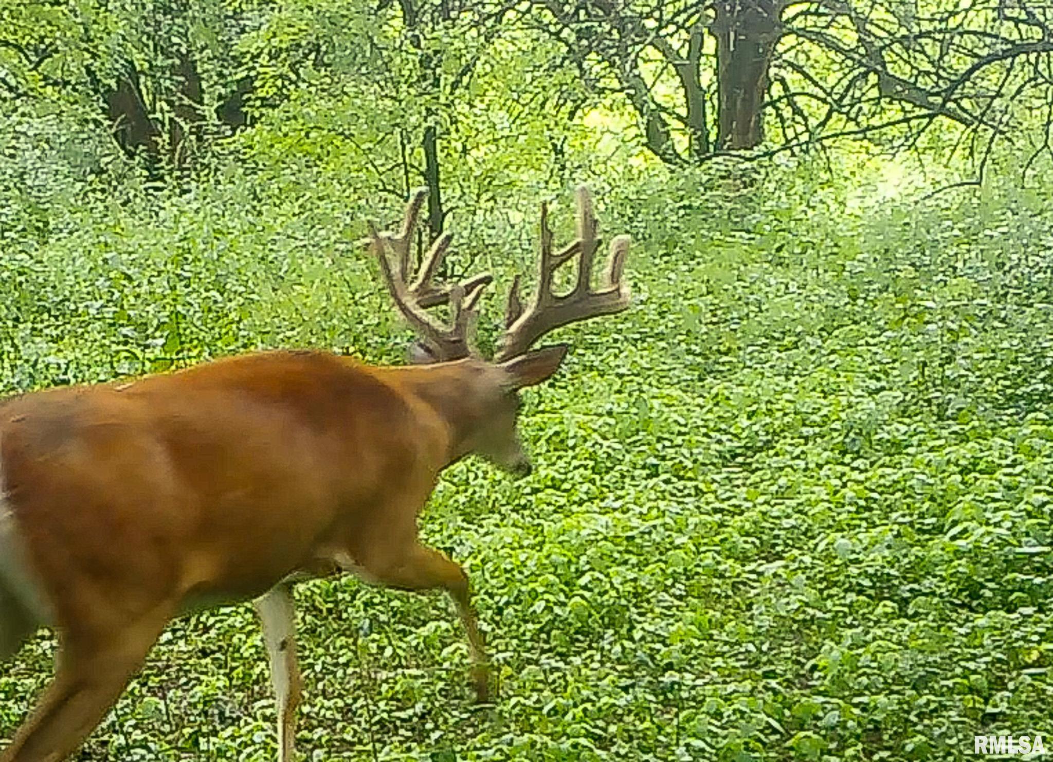 2469 85th Avenue Viola, IL 61486 - Photo 82 of 82