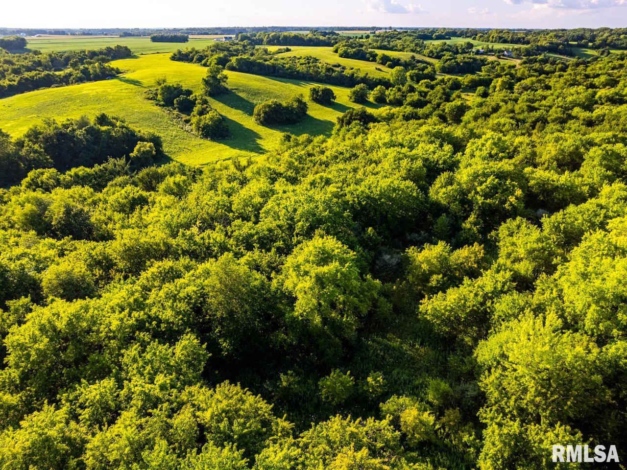 2469 85th Avenue Viola, IL 61486 - Photo 9 of 82
