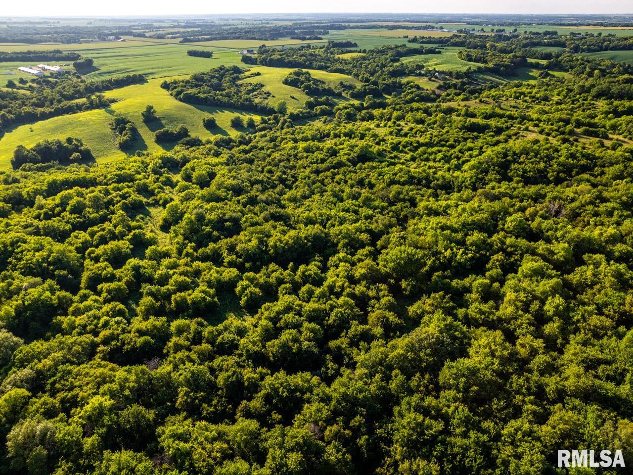 2469 85th Avenue Viola, IL 61486 - Photo 10 of 82