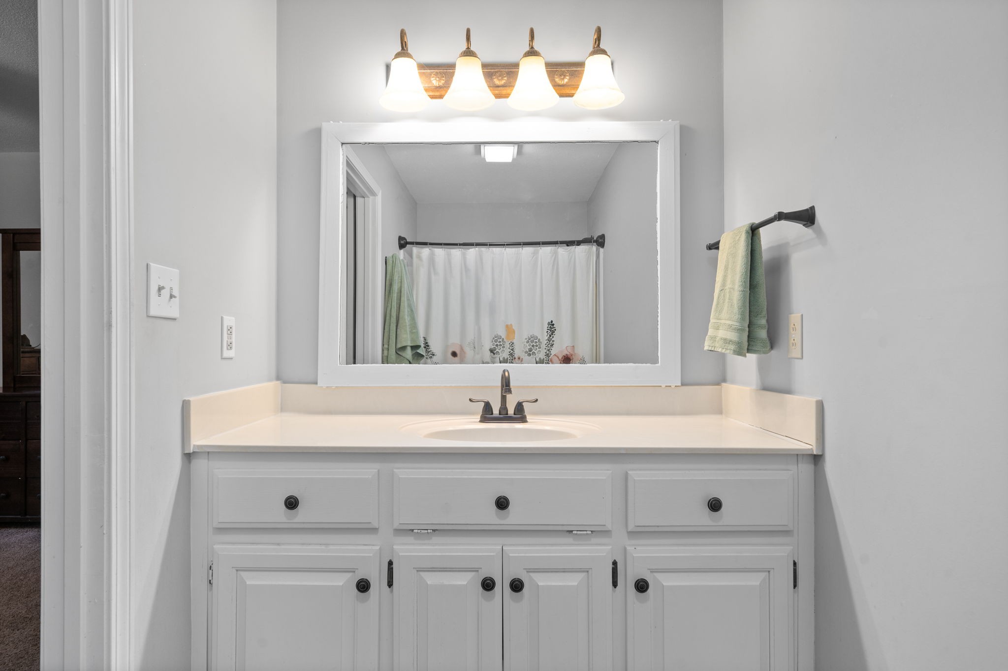 1925 7 Mile Ferry Road Clarksville, TN 37040 - Photo 29 of 57 a sink with a mirror