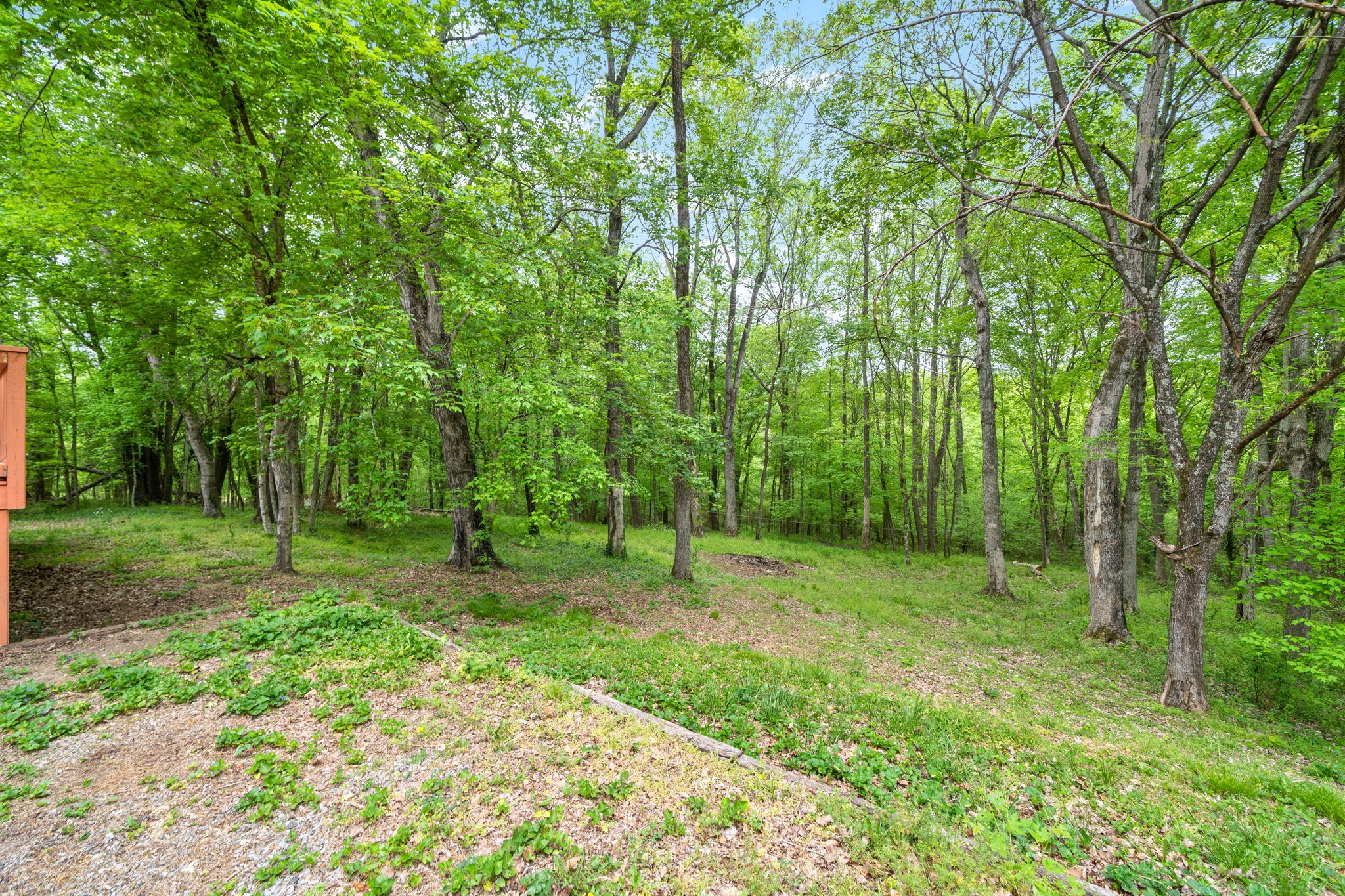 1925 7 Mile Ferry Road Clarksville, TN 37040 - Photo 45 of 57 a view of a green field with lots of trees