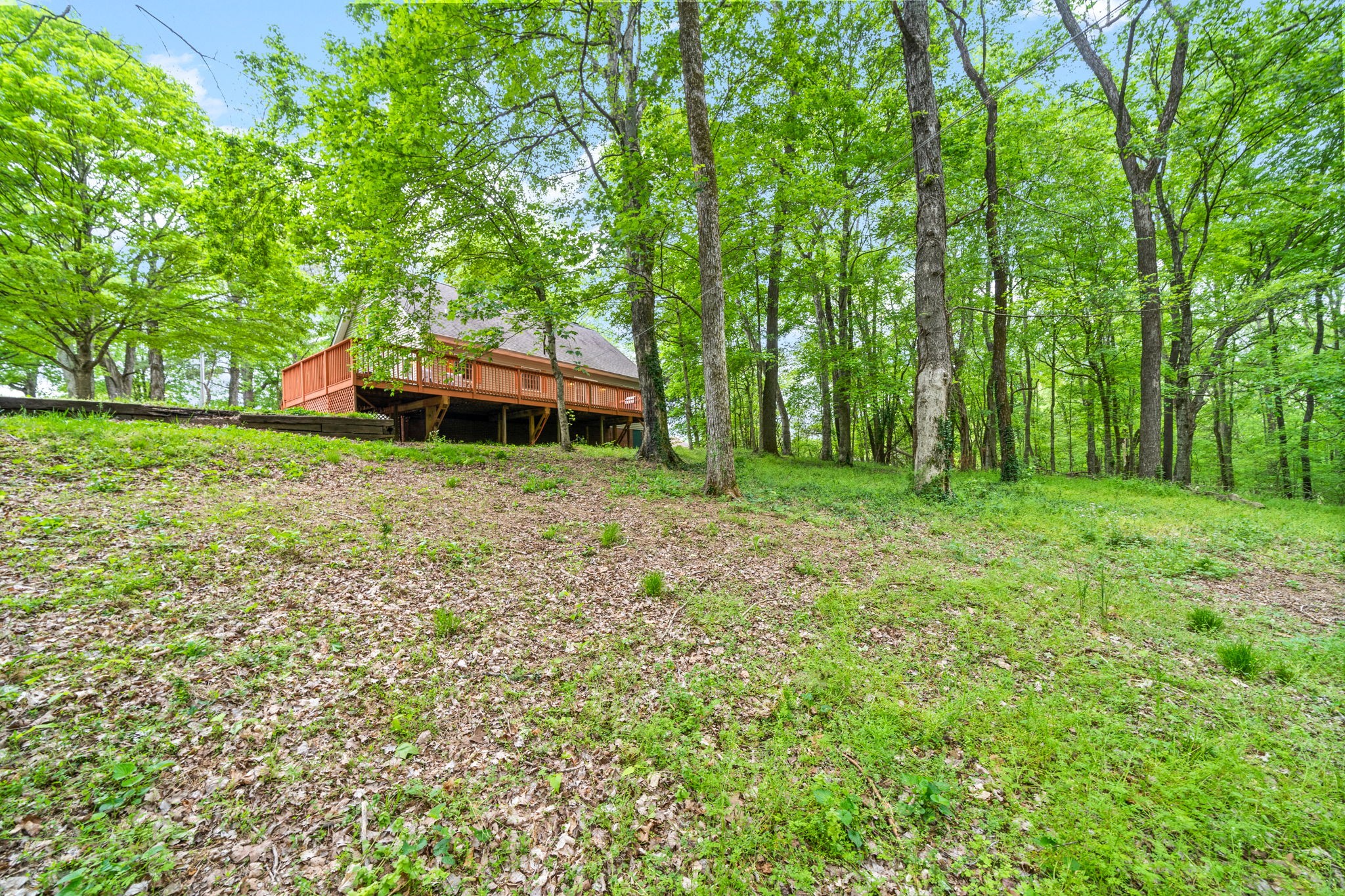 1925 7 Mile Ferry Road Clarksville, TN 37040 - Photo 46 of 57 a backyard of a house with lots of green space
