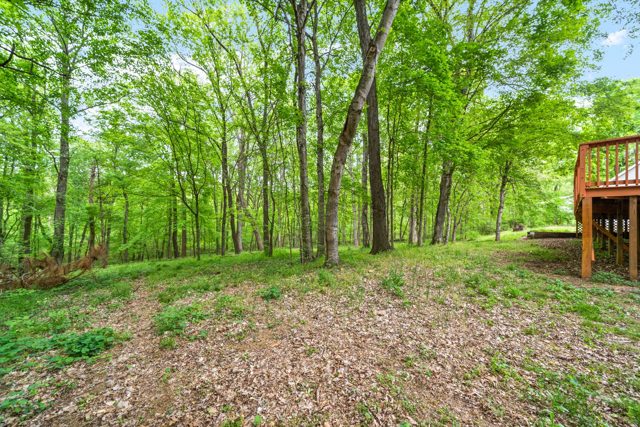 1925 7 Mile Ferry Road Clarksville, TN 37040 - Photo 49 of 57 a view of a yard with trees