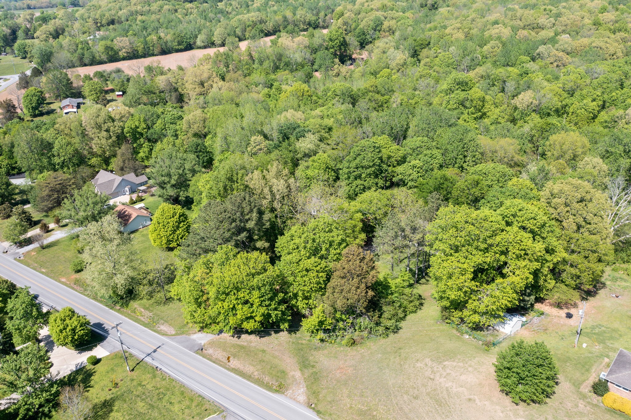 1925 7 Mile Ferry Road Clarksville, TN 37040 - Photo 54 of 57 a view of a garden with a plant