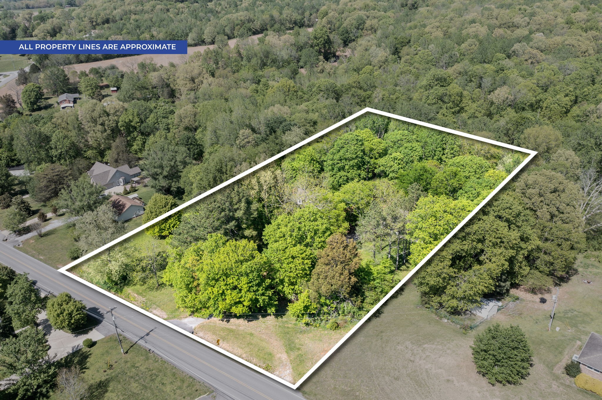 1925 7 Mile Ferry Road Clarksville, TN 37040 - Photo 57 of 57 a view of a forest from a balcony
