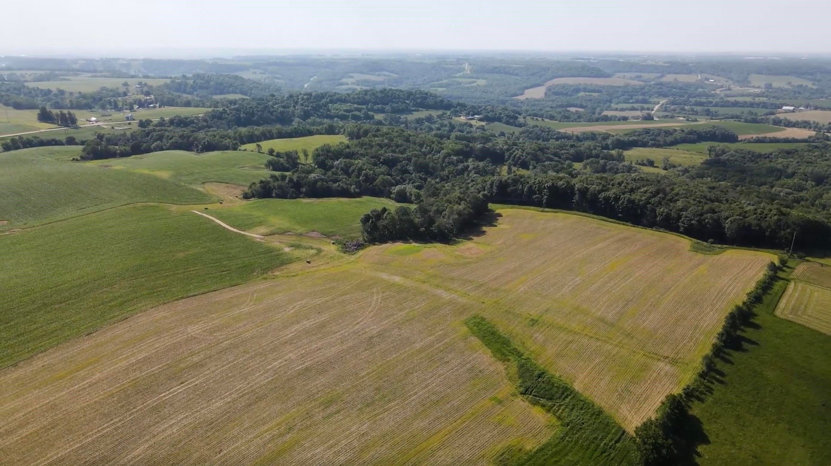 Lot 1-windy Rd Durango Ia 52039 Road, Unit 39 22 ACRES OF LOT 1 Durango, IA 52039 - Photo 2 of 2 Gallery Image 2