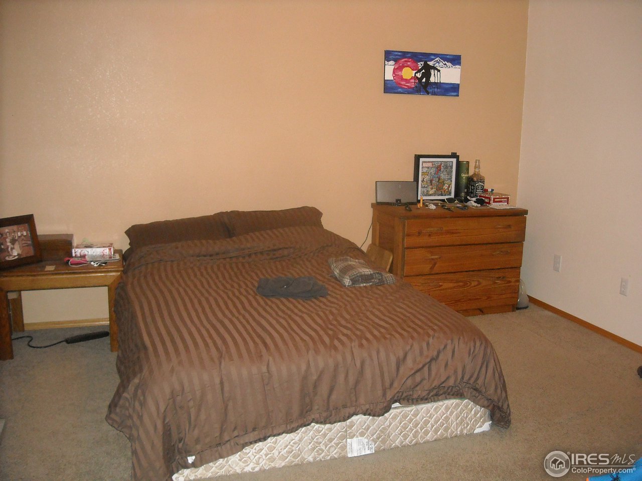 1237 Alameda Street Fort Collins, CO 80521 - Photo 13 of 17 Gallery Image 13