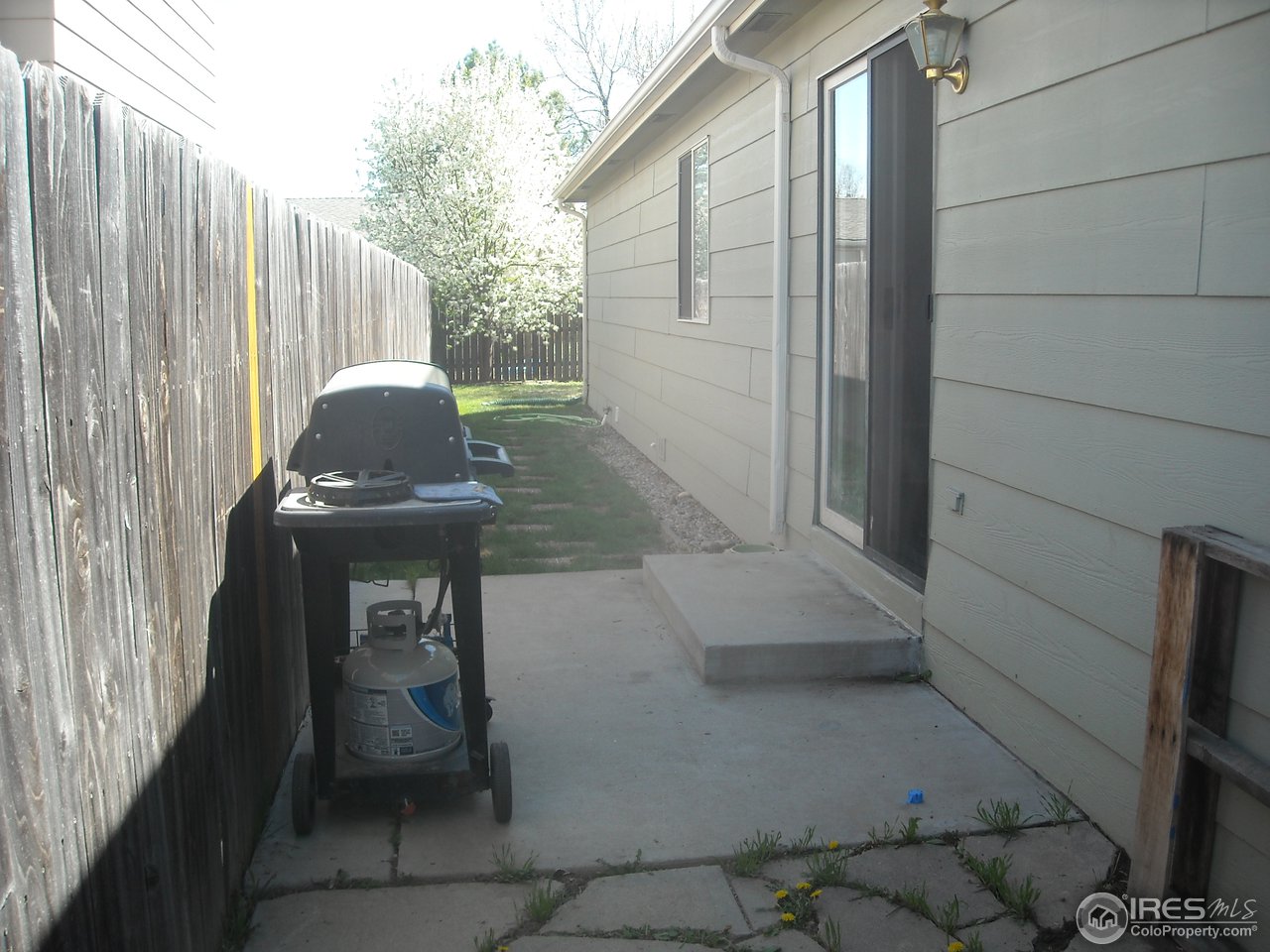 1237 Alameda Street Fort Collins, CO 80521 - Photo 14 of 17 Gallery Image 14