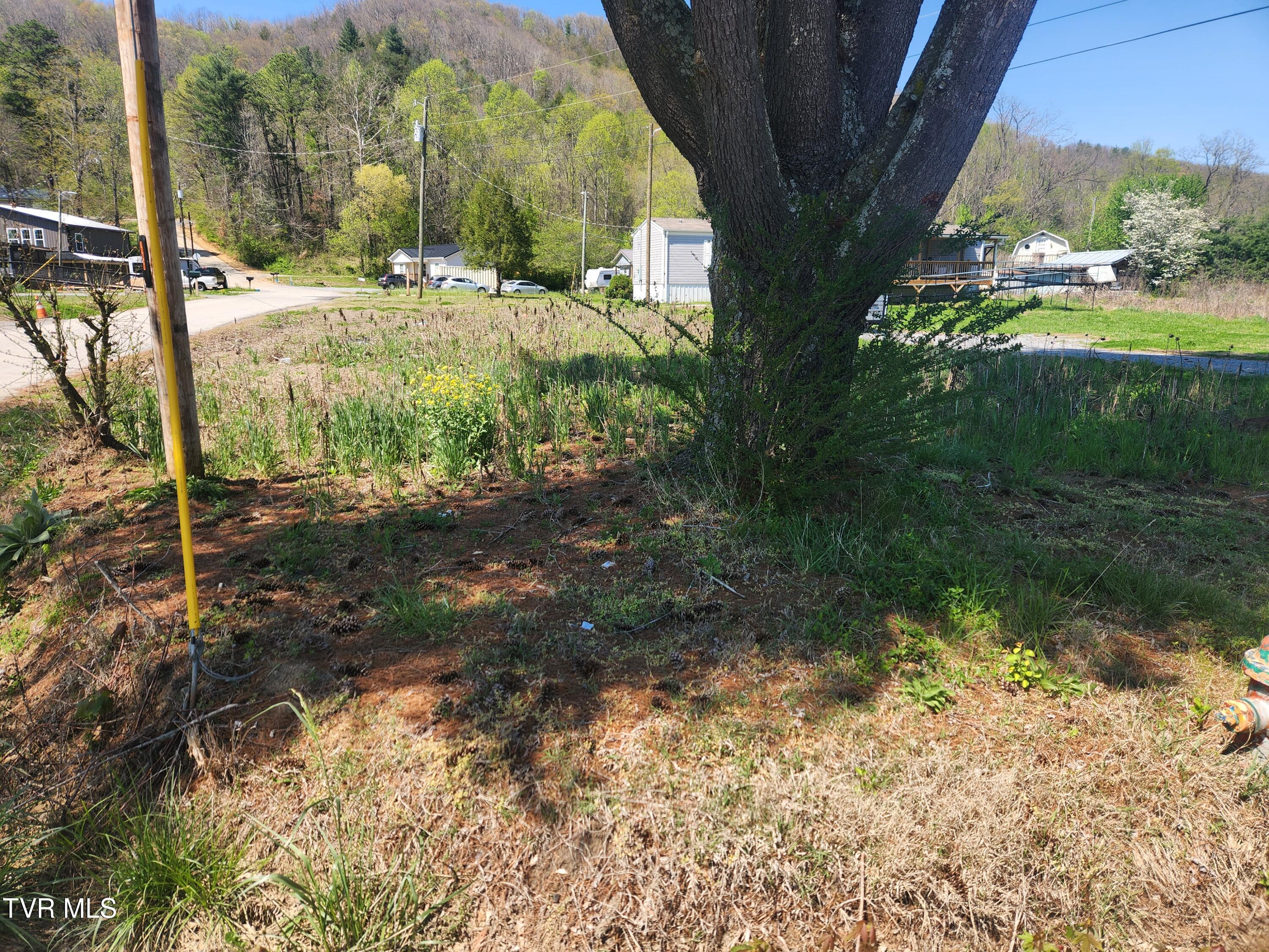 175 Bumpus Cove Road Erwin, TN 37650 - Photo 3 of 4 20260407_143633