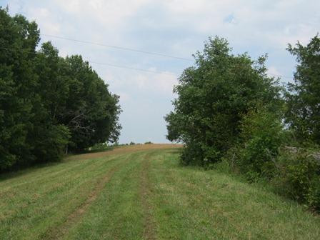 1354 Birdie Road Lawrenceburg, KY 40342 - Photo 50 of 55 Photo 50