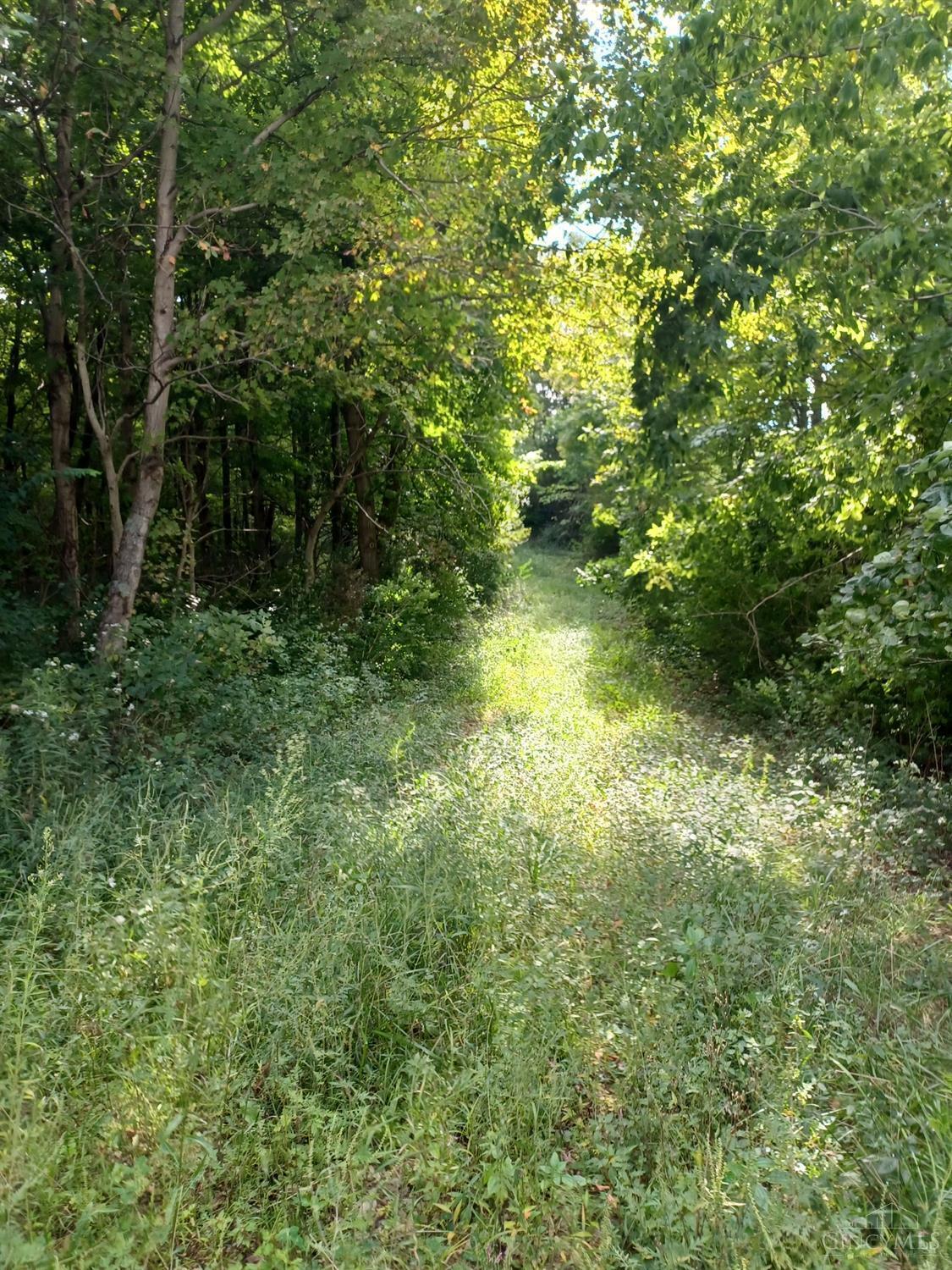 0 State Rte 32 Seaman, OH 45679 - Photo 4 of 5