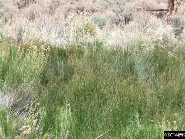 1240 Columbia Hill Road Reno, NV 89508 - Photo 2 of 9 a view of a yard