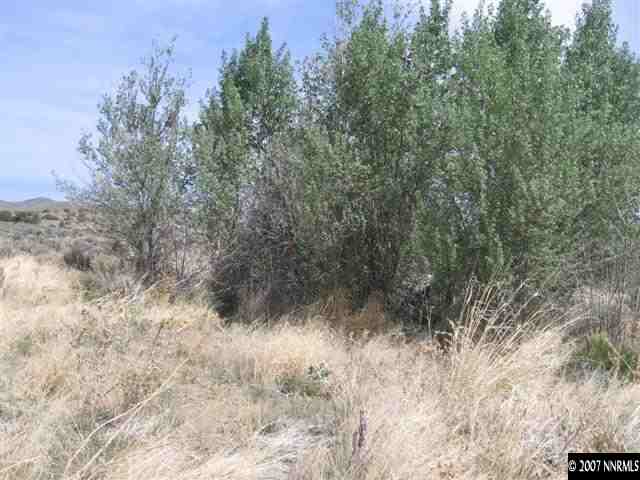 1240 Columbia Hill Road Reno, NV 89508 - Photo 5 of 9 a view of a forest with trees in the background