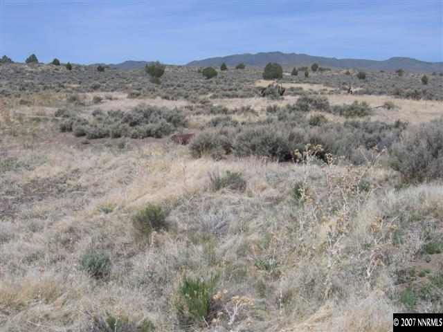 1240 Columbia Hill Road Reno, NV 89508 - Photo 7 of 9 a view of a dry field