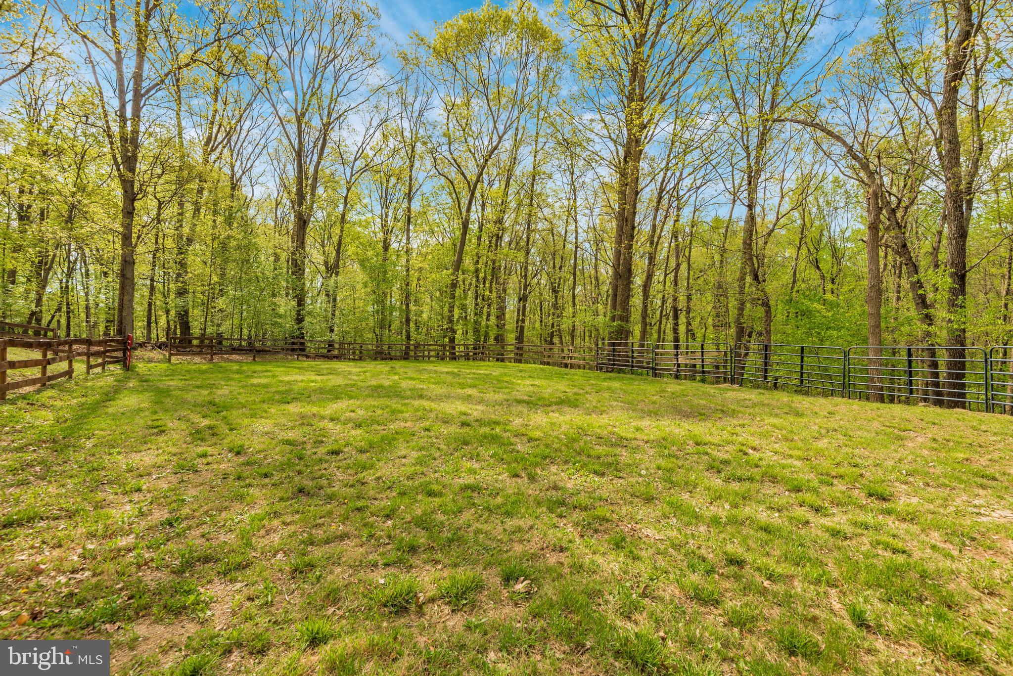 18131 New Cut Road Mount Airy, MD 21771 - Photo 48 of 69