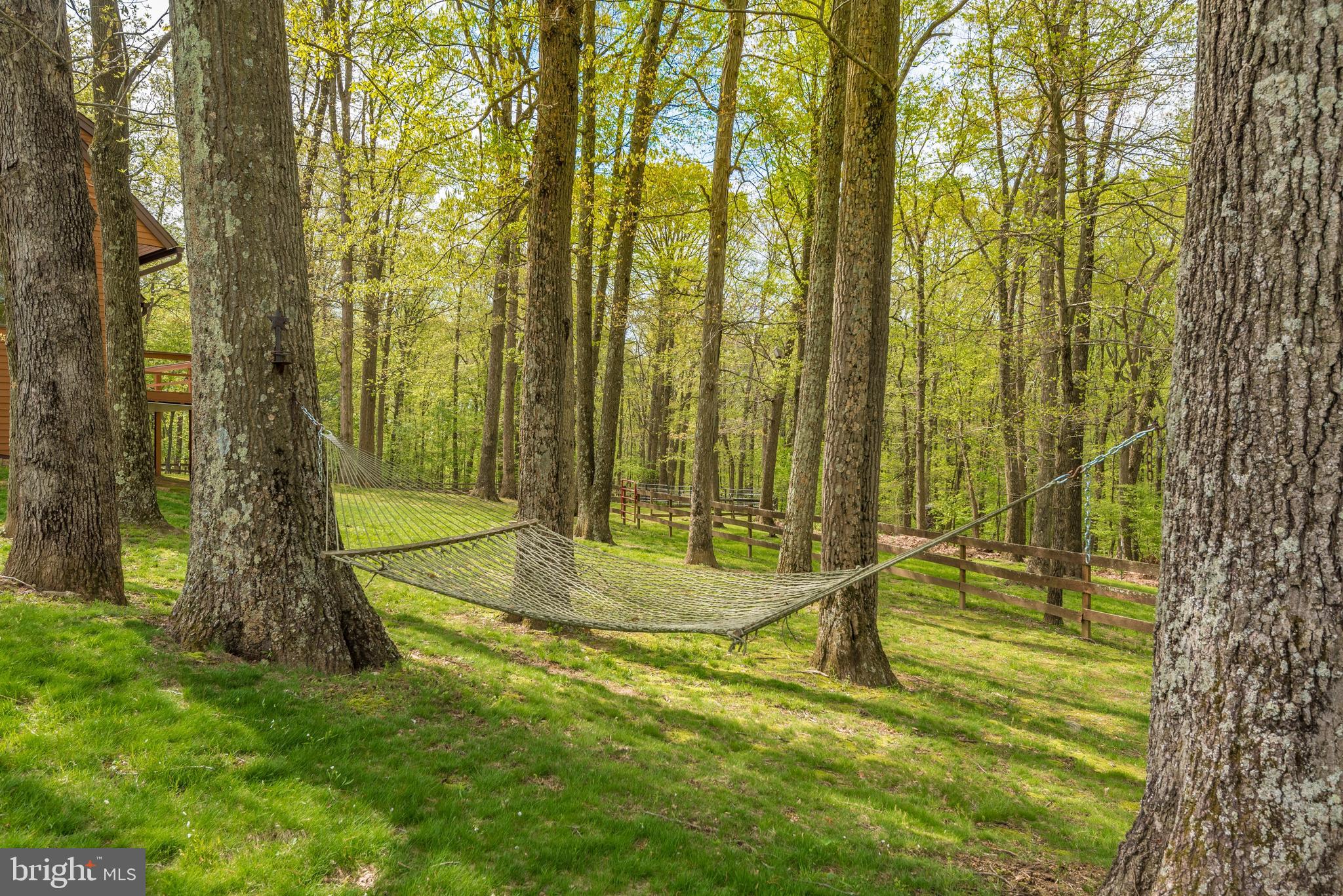 18131 New Cut Road Mount Airy, MD 21771 - Photo 52 of 69