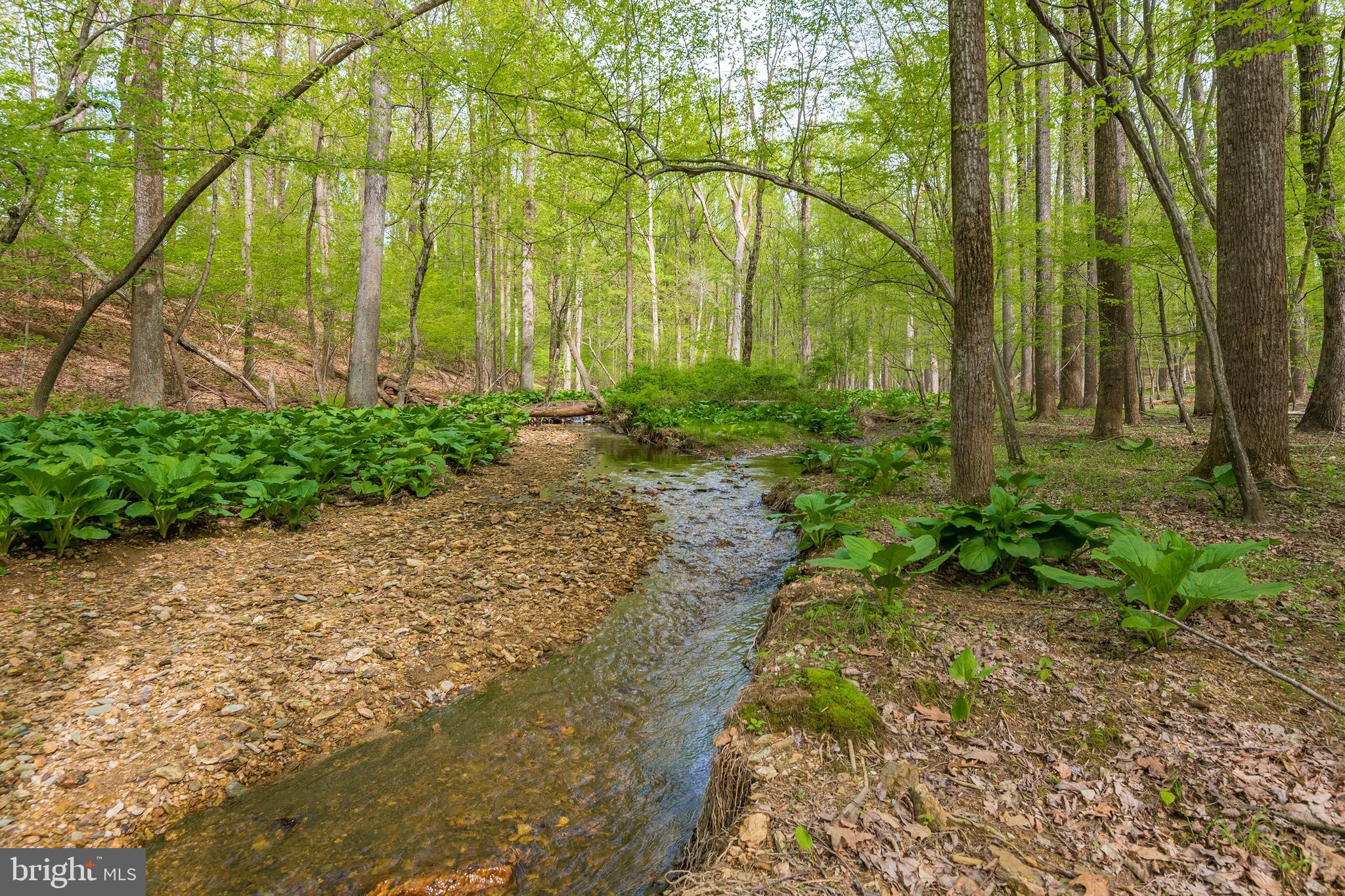 18131 New Cut Road Mount Airy, MD 21771 - Photo 54 of 69