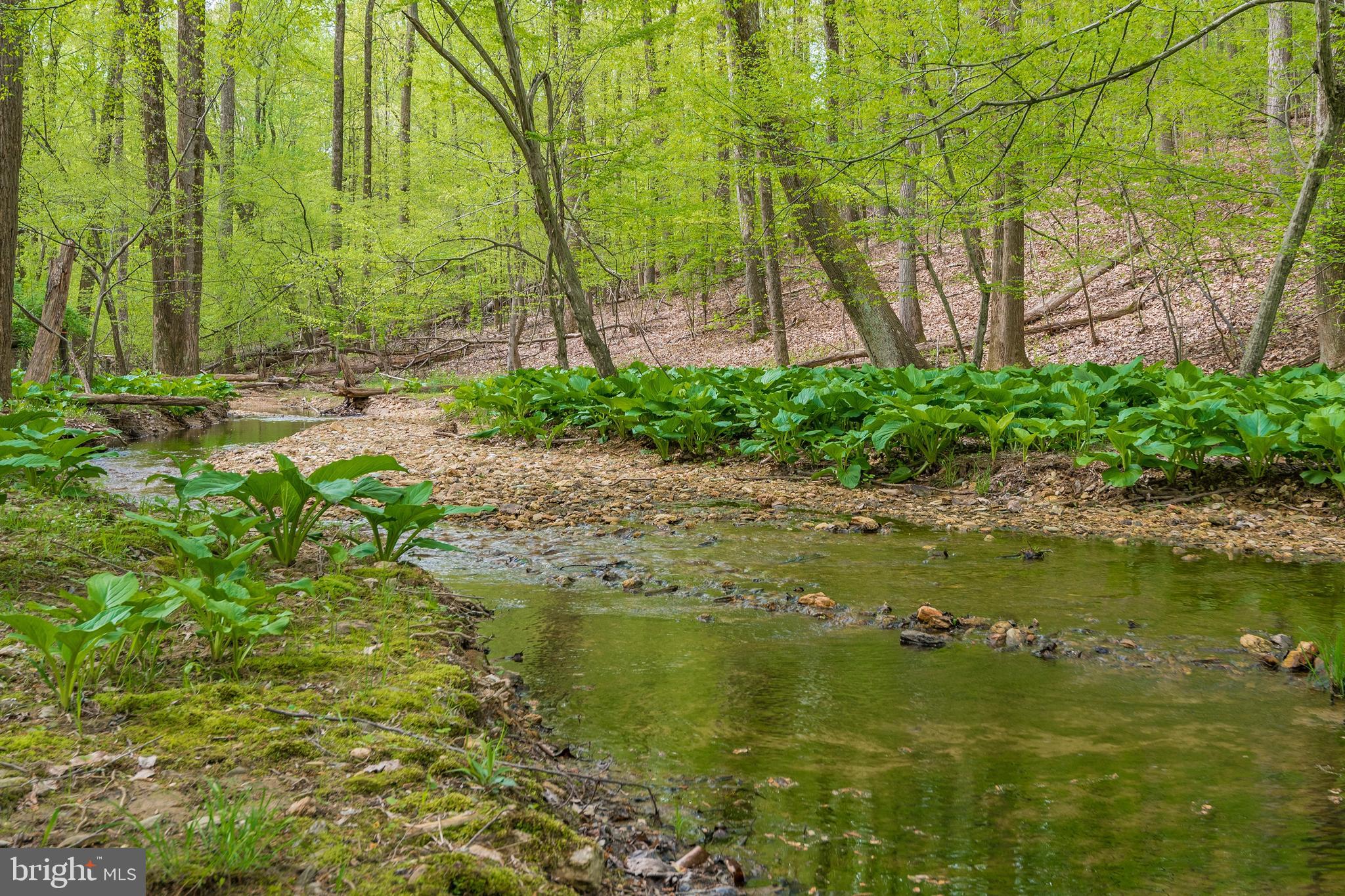 18131 New Cut Road Mount Airy, MD 21771 - Photo 57 of 69