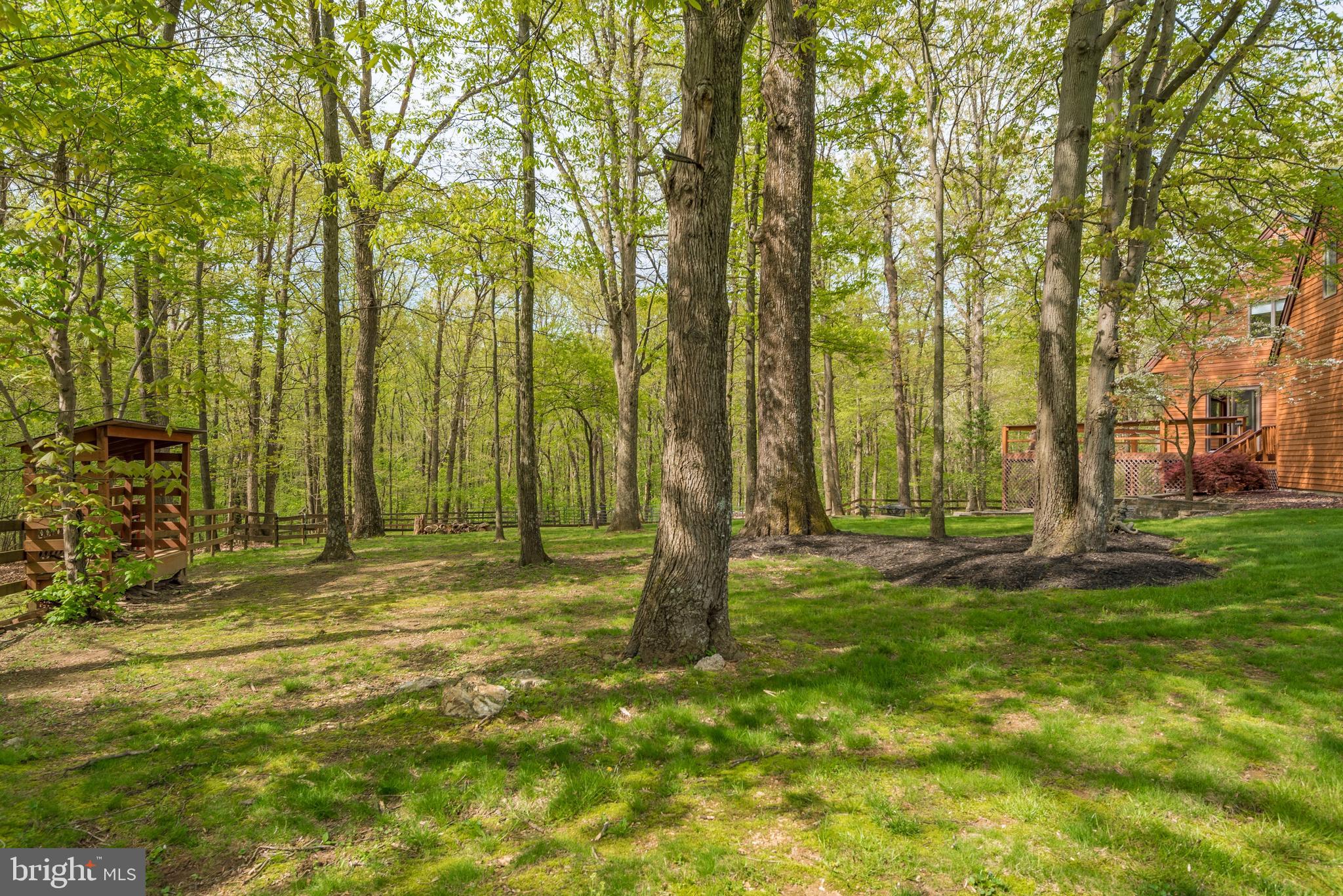 18131 New Cut Road Mount Airy, MD 21771 - Photo 62 of 69