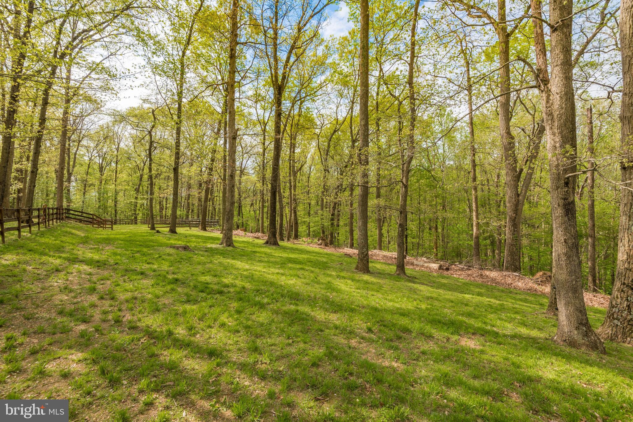 18131 New Cut Road Mount Airy, MD 21771 - Photo 69 of 69