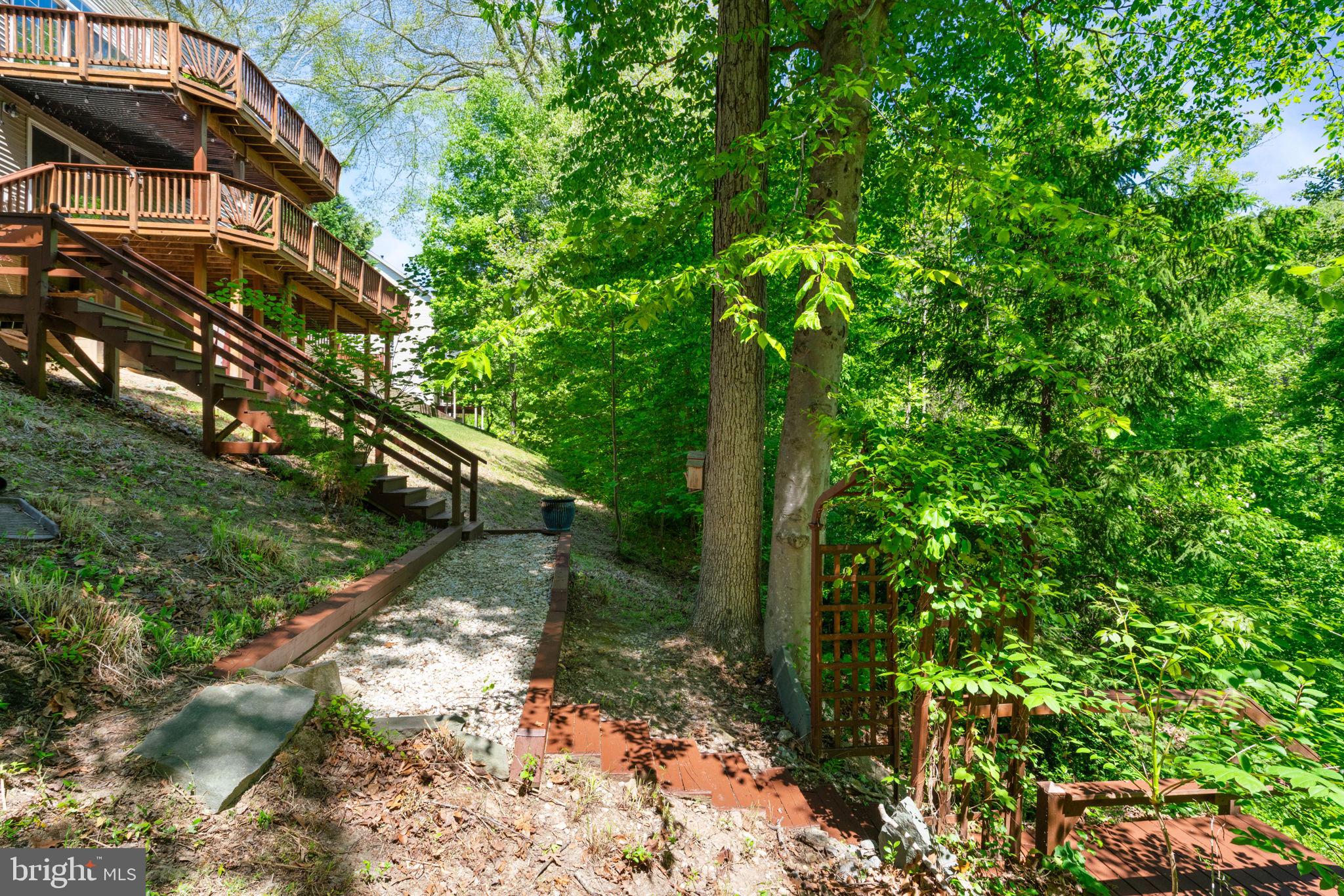 8000 Pohick Road Springfield, VA 22153 - Photo 76 of 85 Back Yard