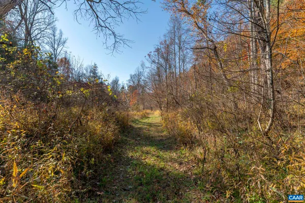 $895,000 | 9225 Howardsville Turnpike, Schuyler, VA 22969