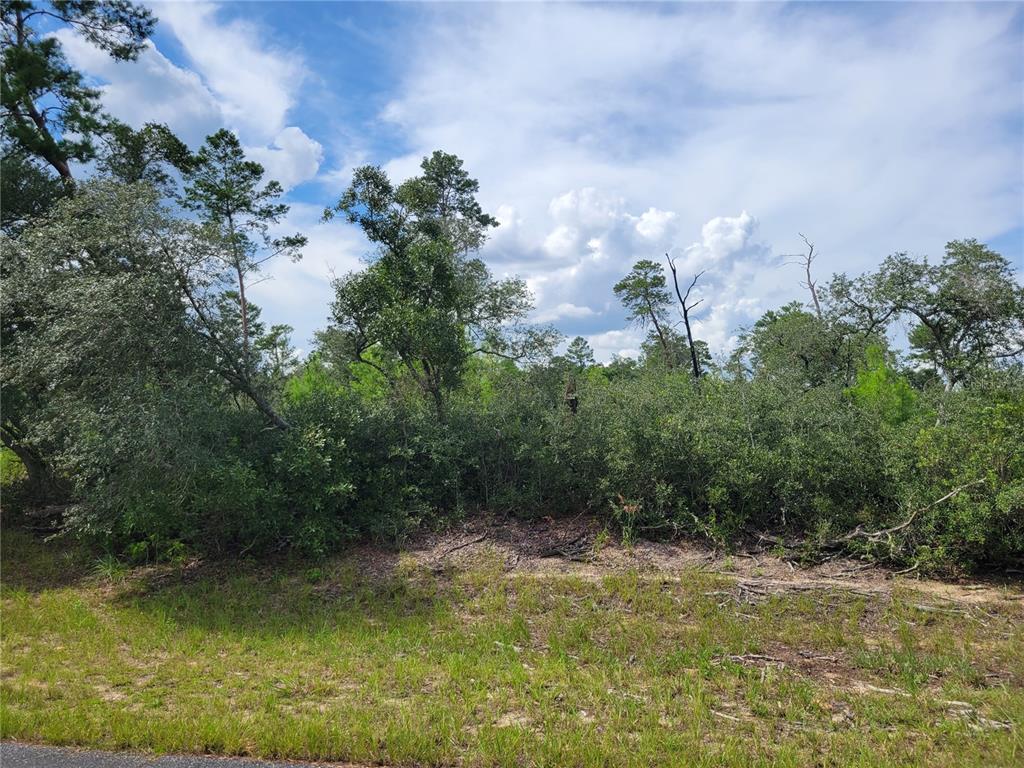2 Southwest 164th Street Road Ocala, FL 34473 - Photo 1 of 1
