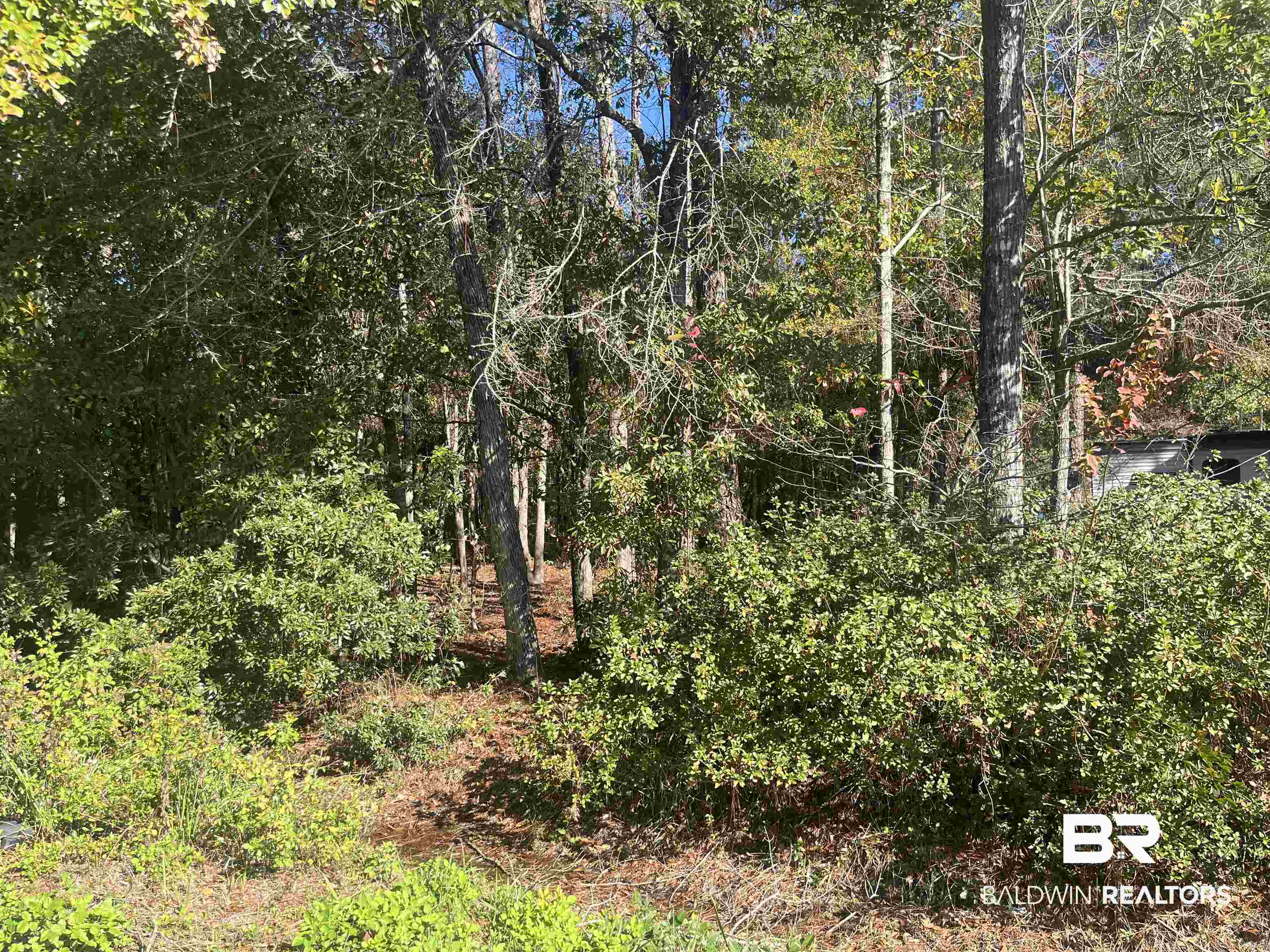 0 Bayou Cypress Road Coden, AL 36523 - Photo 1 of 2 View of woods