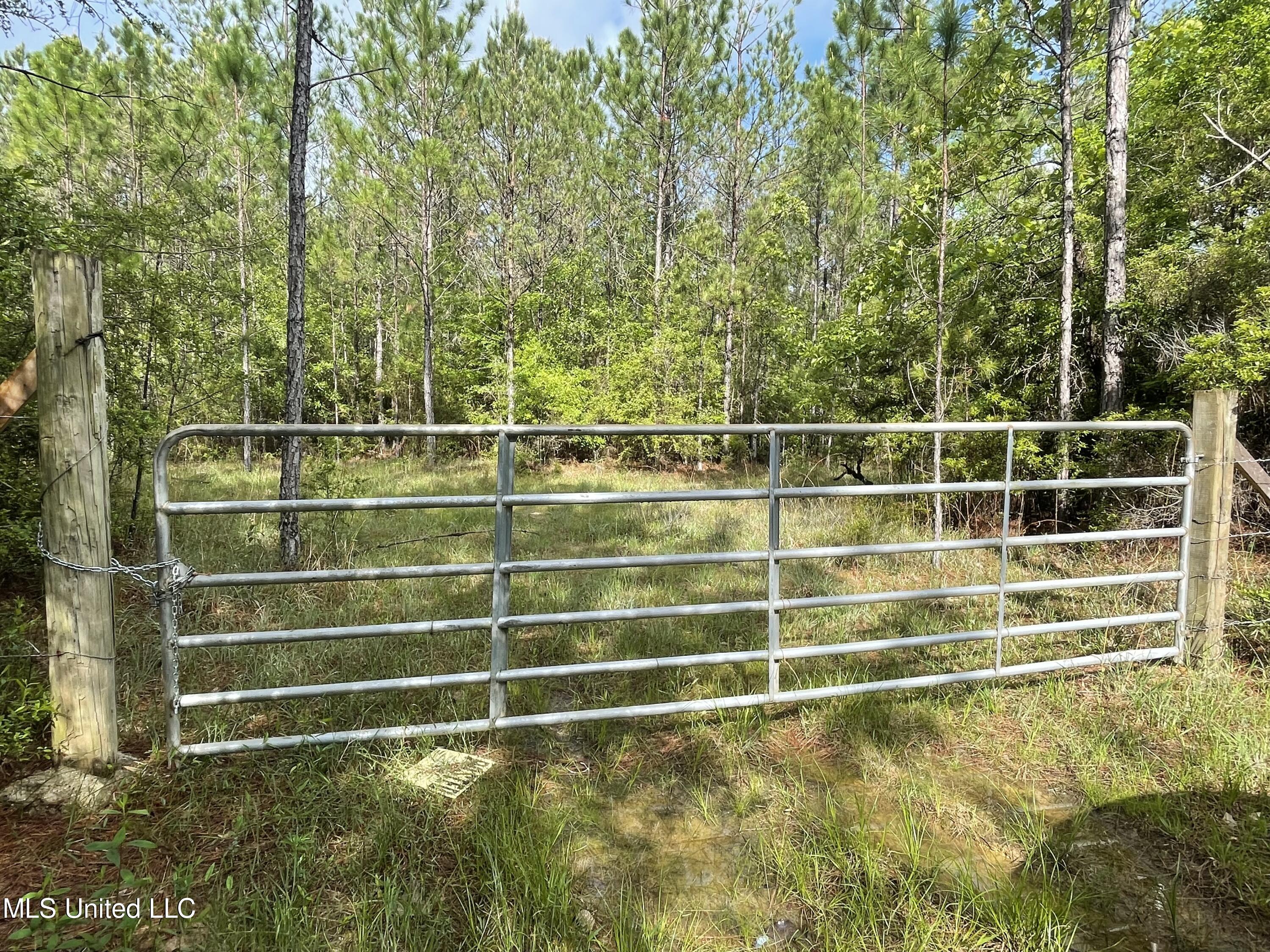 Kittrell Road Beaumont, MS 39423 - Photo 1 of 10 IMG_0174
