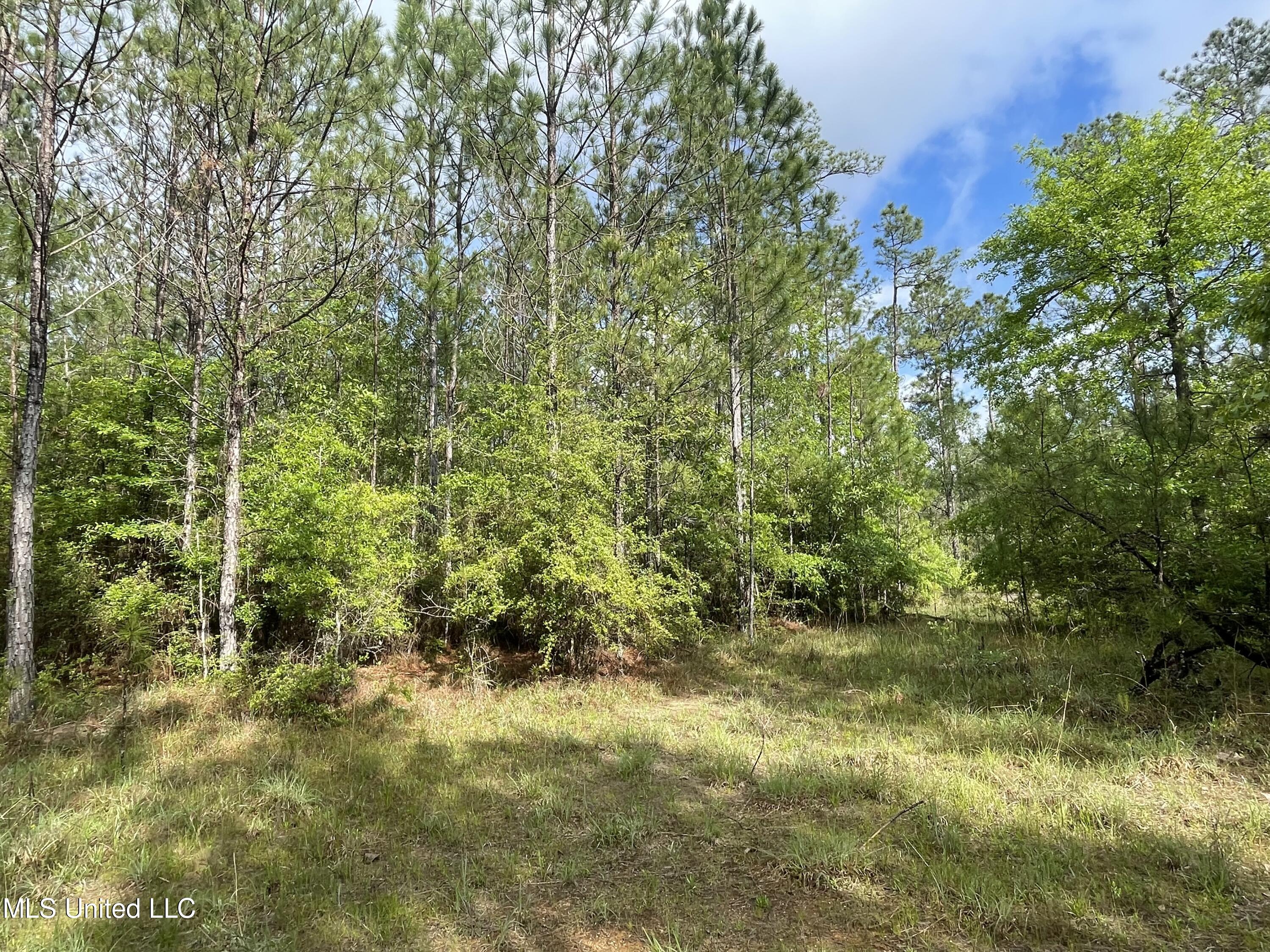 Kittrell Road Beaumont, MS 39423 - Photo 2 of 10 IMG_0175