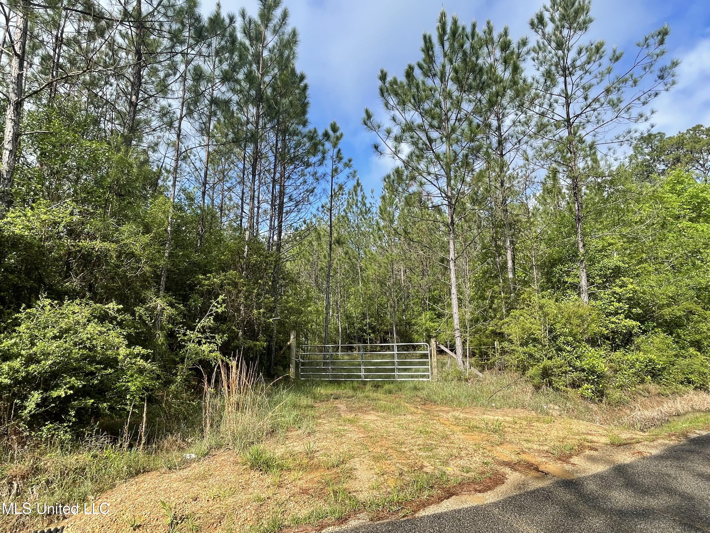 Kittrell Road Beaumont, MS 39423 - Photo 6 of 10 IMG_0180