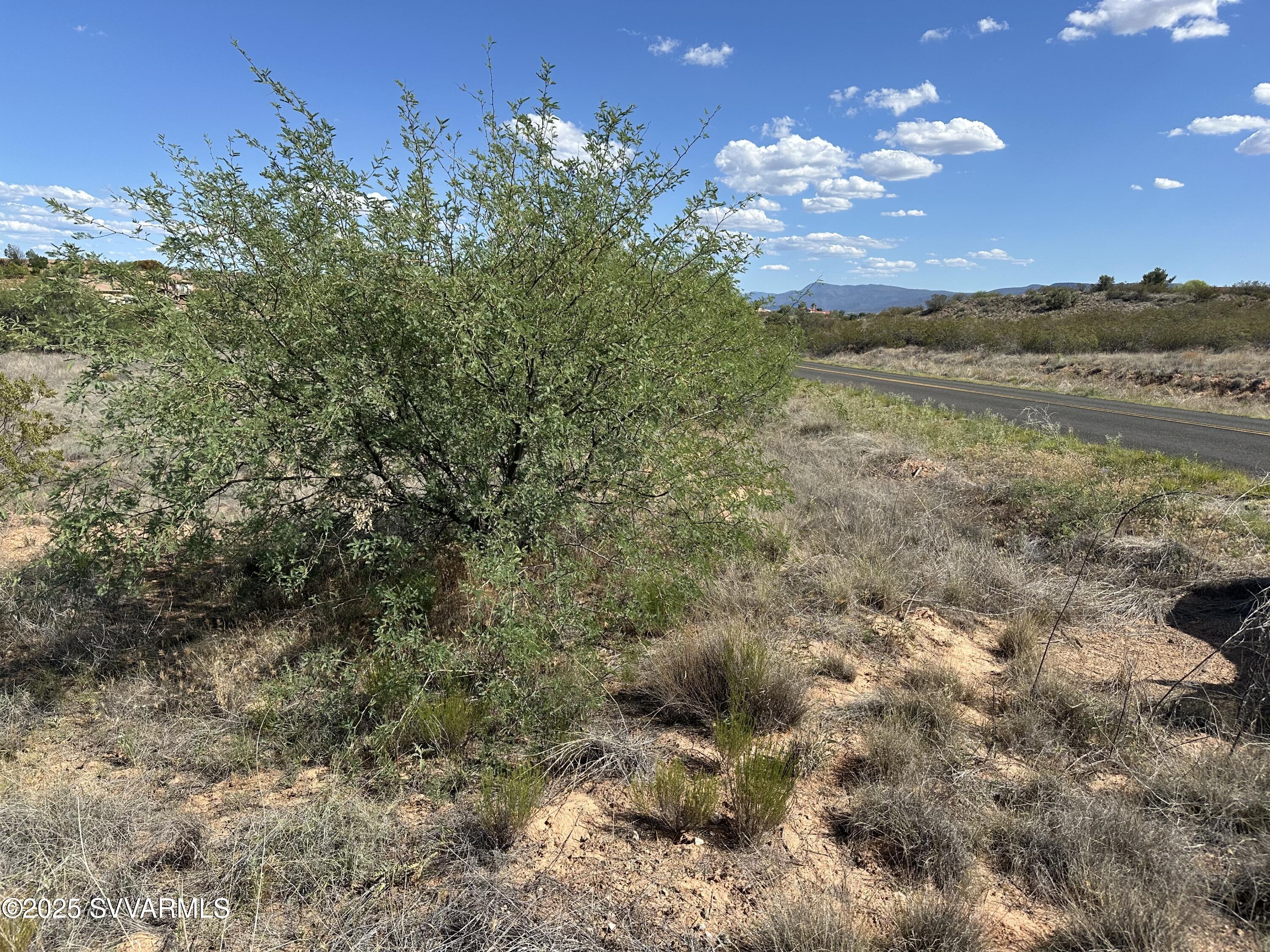 2075 South Tissaw Road Cornville, AZ 86325 - Photo 4 of 15 a view of a bunch of trees and bushes