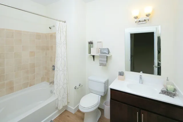 a view of a garden with a pathway