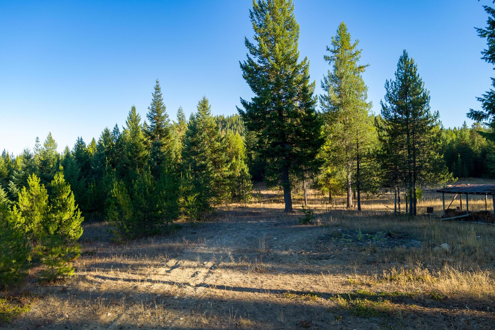 1147 Middle Basin Road Colville, WA 99114 - Photo 33 of 35