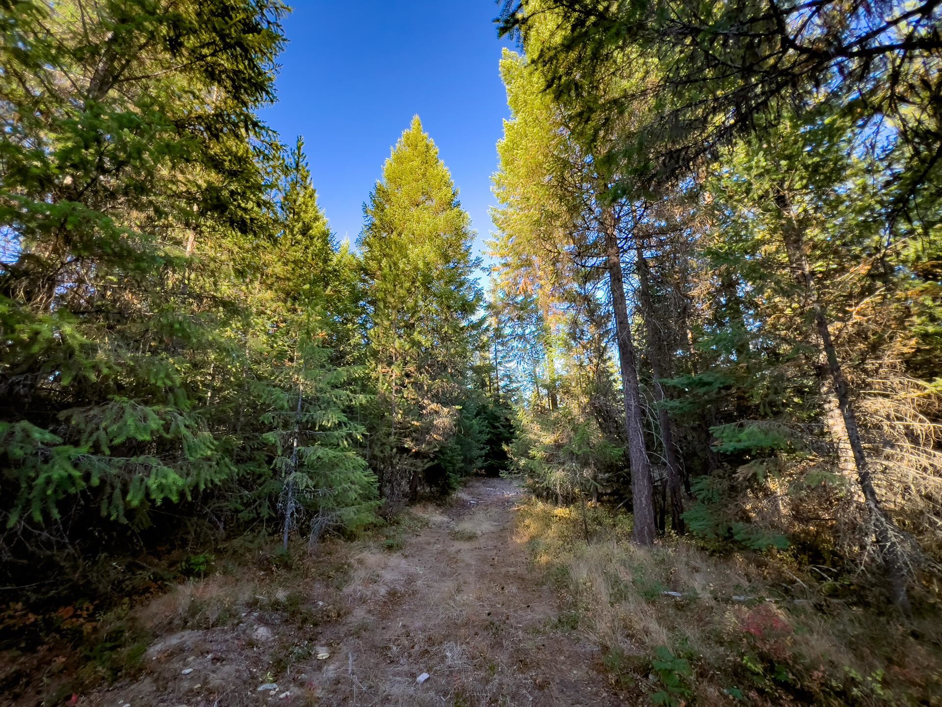 1147 Middle Basin Road Colville, WA 99114 - Photo 34 of 35
