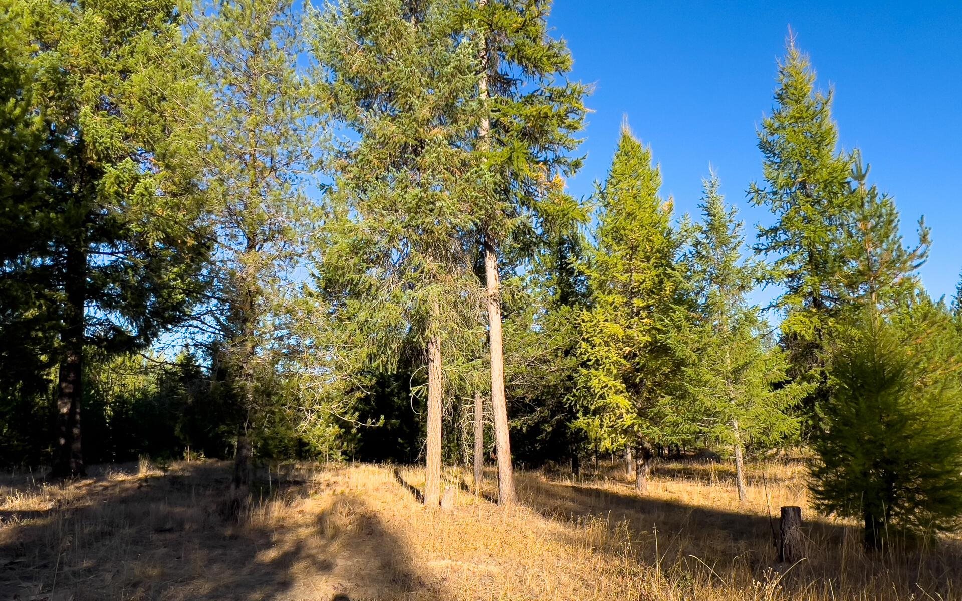 1147 Middle Basin Road Colville, WA 99114 - Photo 35 of 35