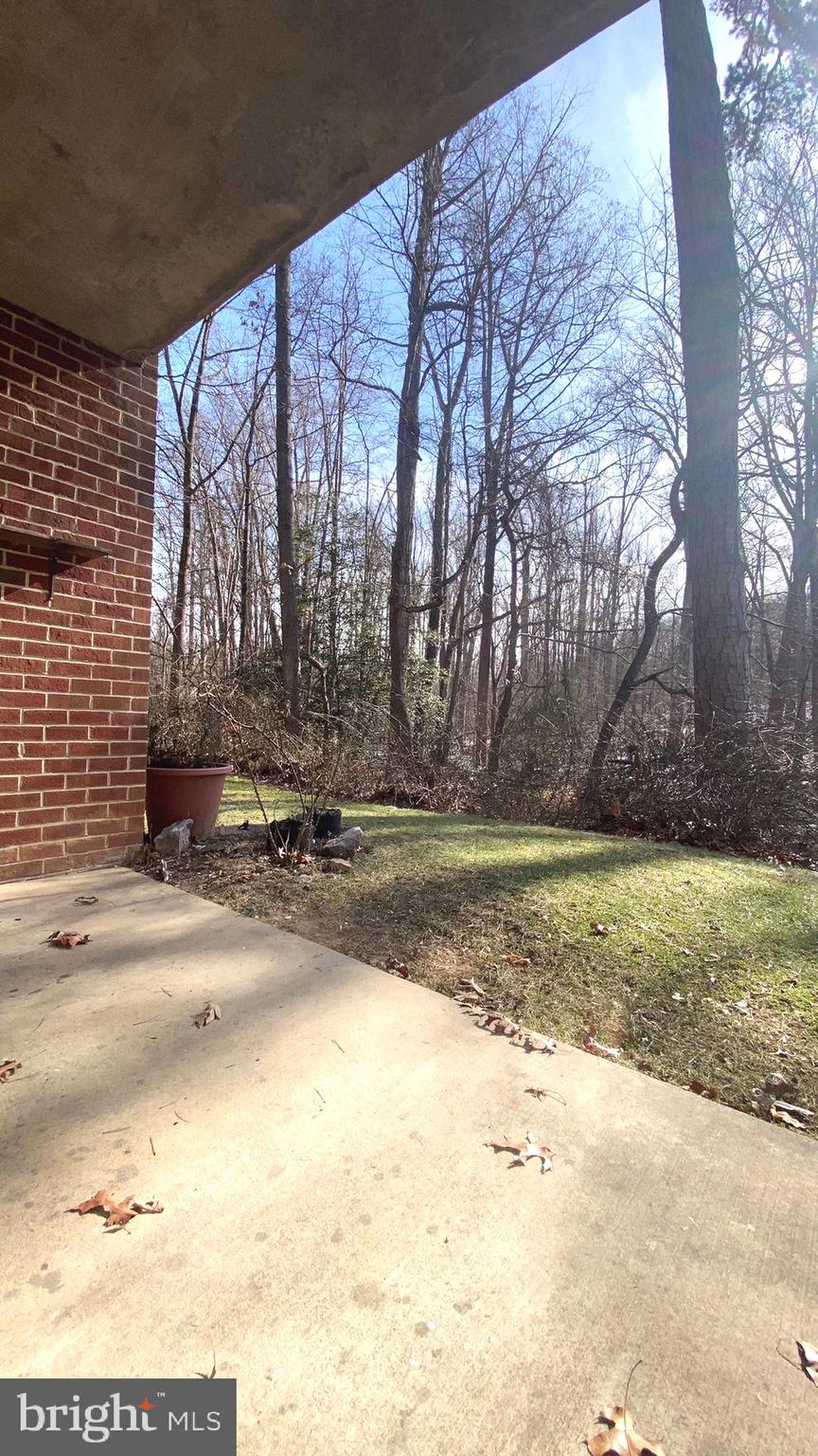 11839 Shire Court, Unit 2C Reston, VA 20191 - Photo 13 of 60 a view of a backyard with large trees