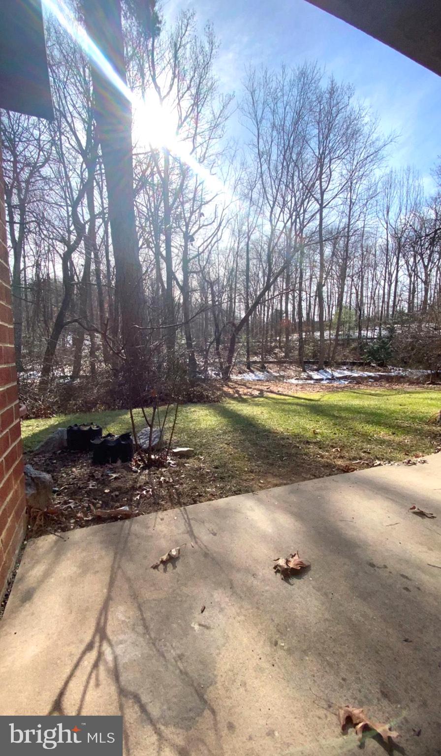 11839 Shire Court, Unit 2C Reston, VA 20191 - Photo 16 of 60 a view of a park with large trees
