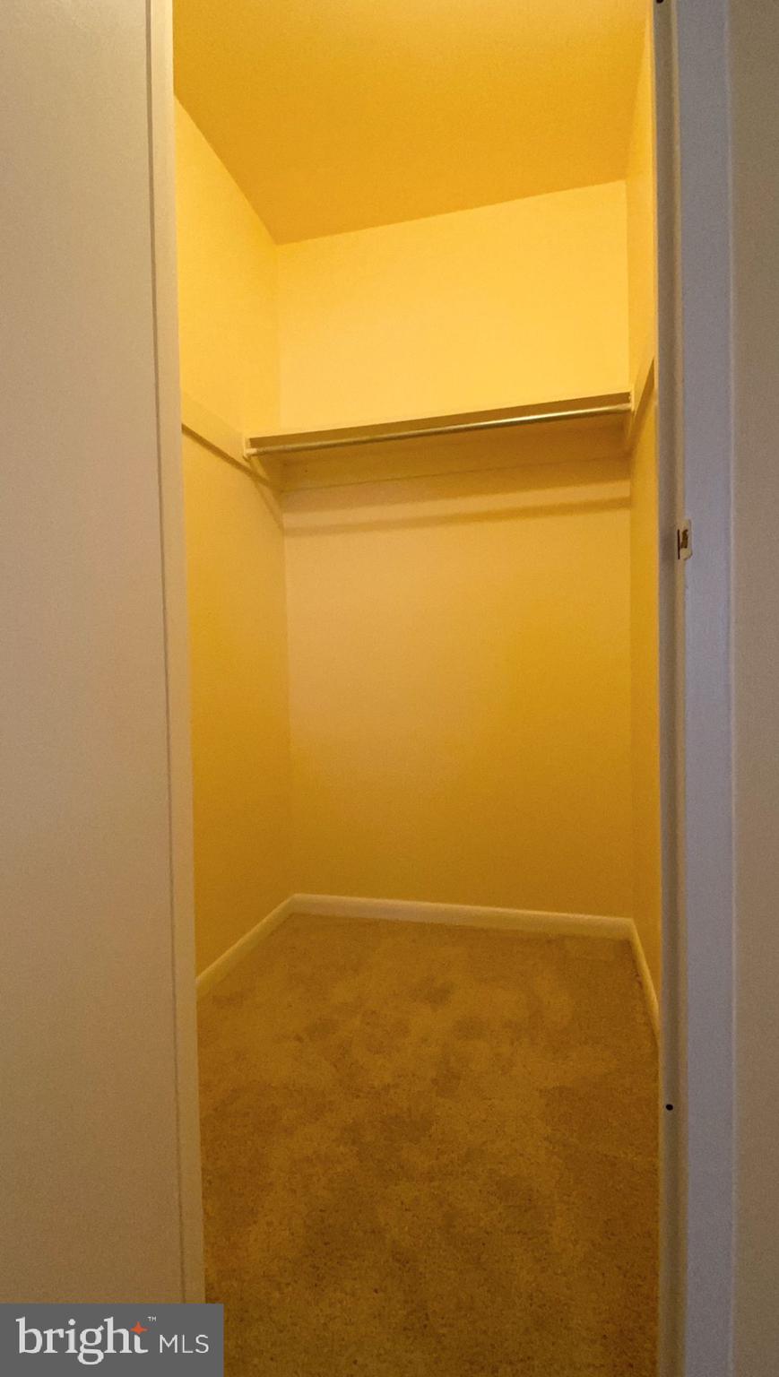 11839 Shire Court, Unit 2C Reston, VA 20191 - Photo 51 of 60 a view of an ocean