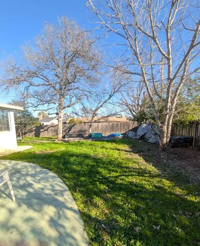 a view of a yard with a tree