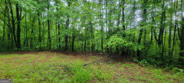 $19,500 | 0 Bonanza Lane, Tiger, GA 30576