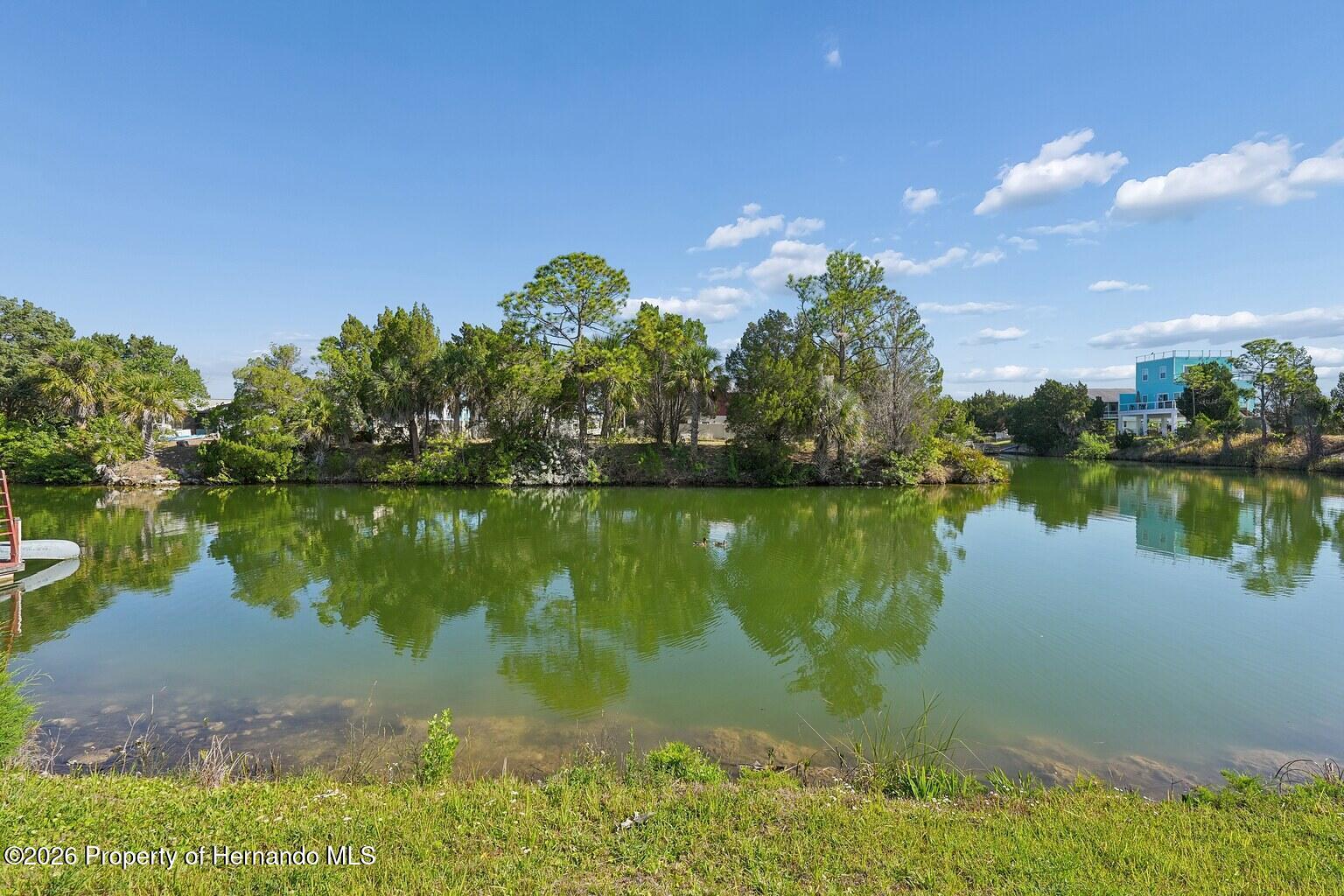 4033 Amberjack Drive Hernando Beach, FL 34607 - Photo 2 of 15