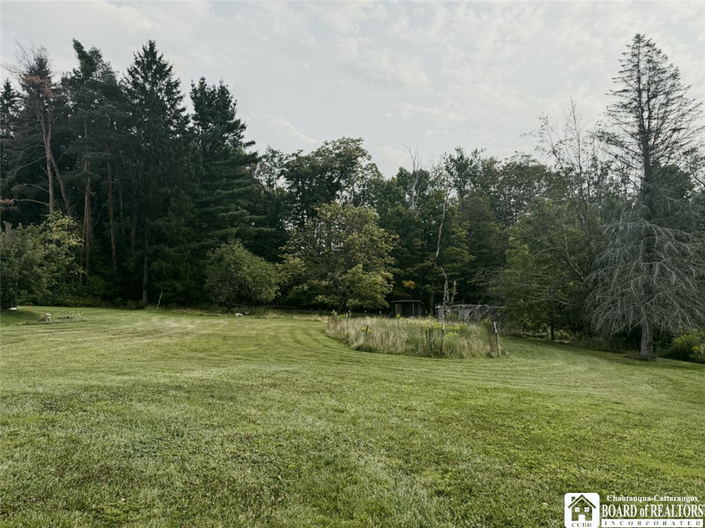 2053 Buffalo St Extension Ellicott, NY 14701 - Photo 29 of 30