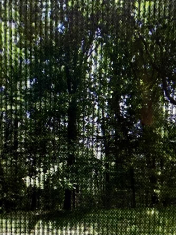 0 Raintree Road Roanoke, VA 24018 - Photo 4 of 4 main