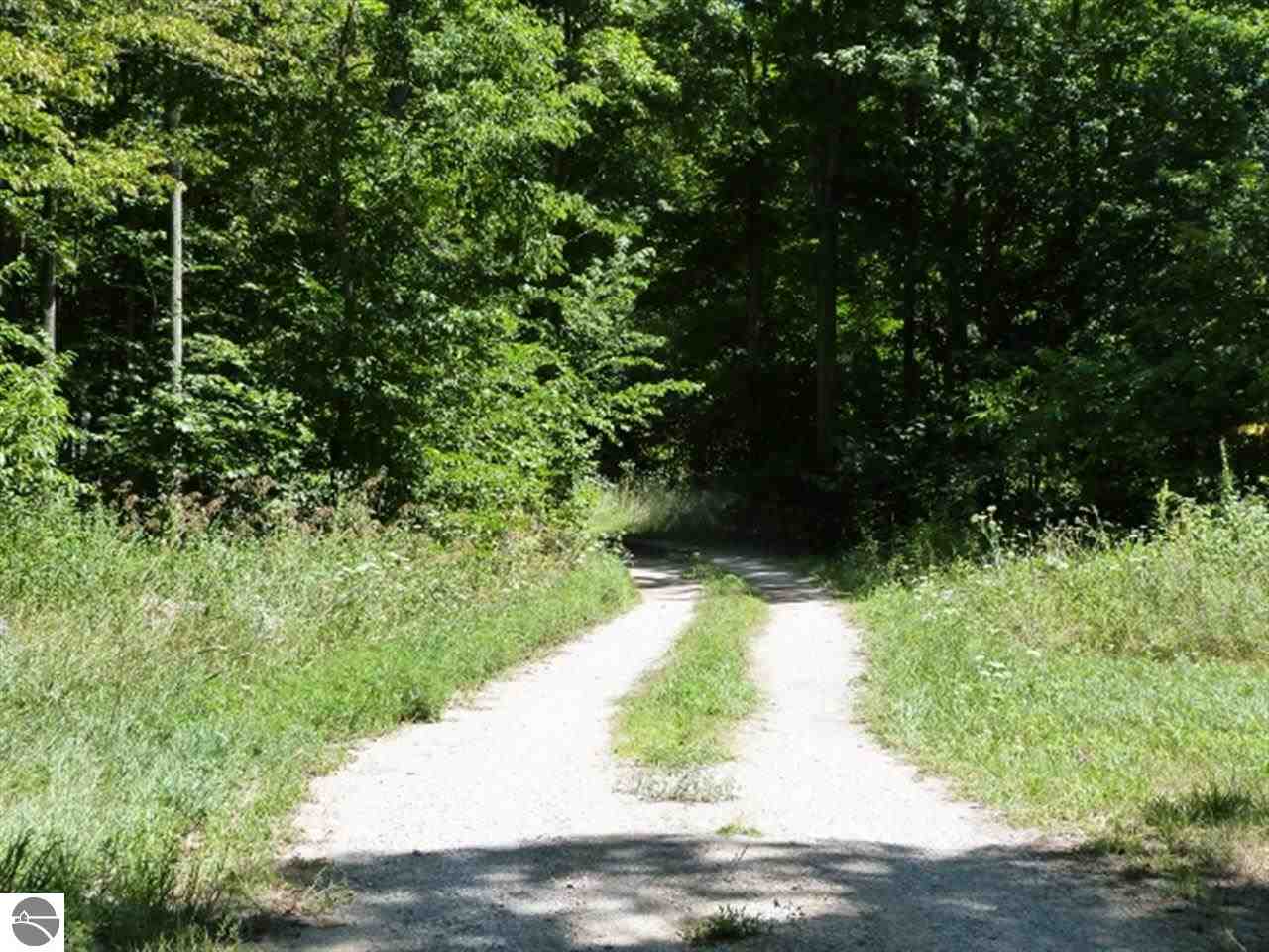 355 Harwood Road Beulah, MI 49617 - Photo 36 of 39 1774951-35.JPG