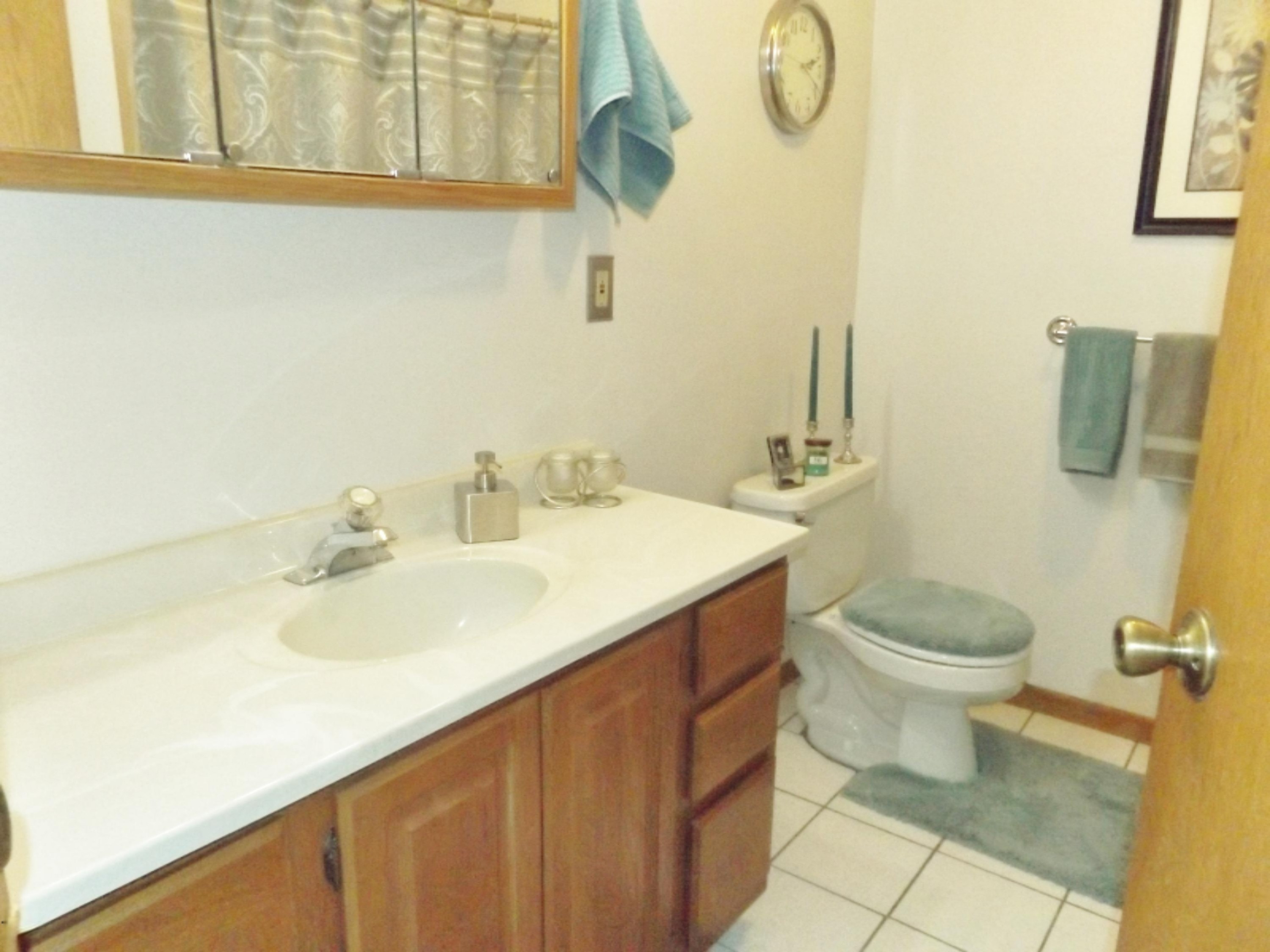 56030 Shady Lane Three Rivers, MI 49093 - Photo 28 of 37 lower full bth